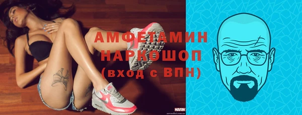 ешки Алексин