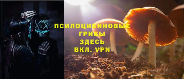стафф Алексеевка